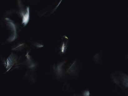 I felt I was waking up into a dream, or landing in a strange planet