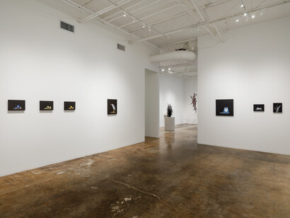 Isabelle du Toit, Vivarium, exhibition view. Courtesy of Cris Worley Fine Arts