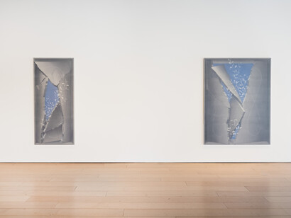 Theodora Allen, Oak, exhibition view. Courtesy of Paul Kasmin Gallery