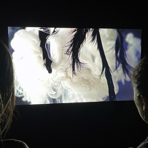 Patricia Olynyk, Black swan in three variations, exhibition view. Courtesy of Bruno David Gallery