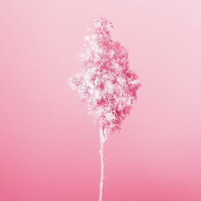 Nous avons besoin d'un ministère de la Motivation !