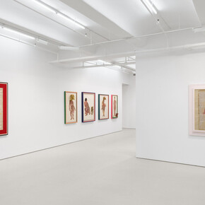 Lyne Lapointe, Becoming animal, exhibition view. Courtesy of Jack Shainman Gallery