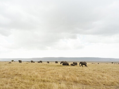 Horizons. Courtesy of Polka Galerie