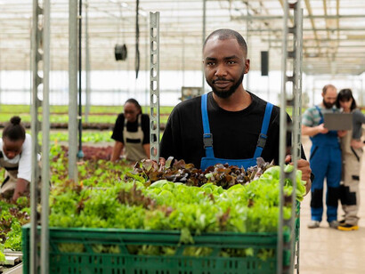 Harvesting vegetables is a labour of love, but for those who care about hidden ingredients, it’s worth noting that some processed foods may contain red pigments extracted from scale insects