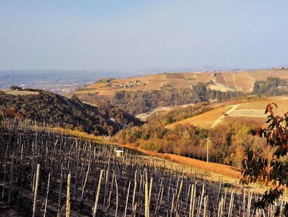 Autunno nelle vigne di Clavesana, Langhe, Piemonte, Italia. Foto di Tomatis Davide