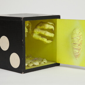 Tetsumi Kudo, Your Portrait, 1966, Painted wood and pegboard case, cotton, plastic, polyester, resin, paint
30 x 30 x 30 cm / 11 3/4 x 11 3/4 x 11 3/4 in. Photo: Jessica Eckert © Estate of Tetsumi Kudo, ADAGP, Paris, ARS, New York and DACS, London 2015, Hiroko Kudo. Courtesy Hauser & Wirth and Andrea Rosen Gallery
