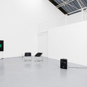 Diana Thater, The conversation, vue d'exposition. Avec l'aimable autorisation de la Galerie Hussenot