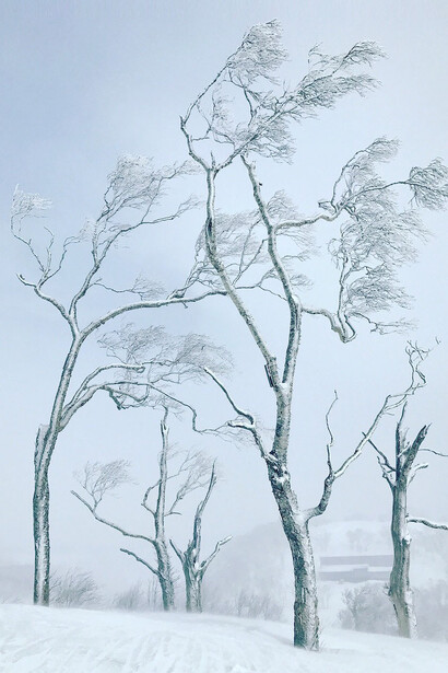 Winter Wonderland, 2017 Niseko, Japan, Photography-Archival pigment print on Baryta paper, 107x71cm. Courtesy of Alisan Fine Arts