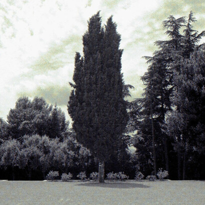 Moments. Courtesy of MFC - Michèle Didier