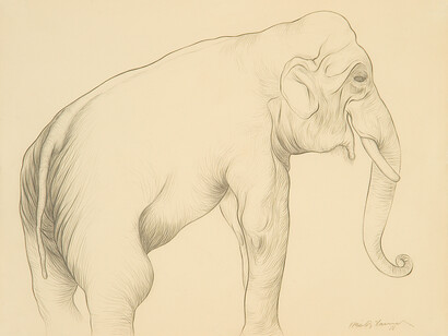 Héctor Xavier. Elefante. 1958. Punta de plata sobre papel