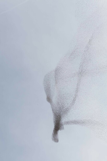 Daniela Friebel. Courtesy of The Finnish Museum of Photography