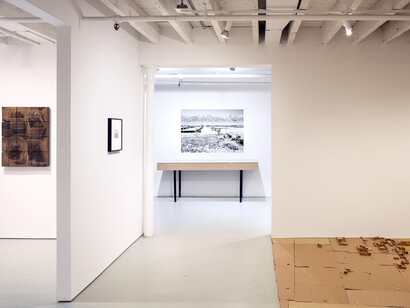 Various artists, Rich land, poor land, a study of waste in the Natural Resources of America, exhibition view. Courtesy of Carriage Trade