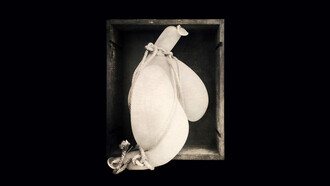 Eléonore Pironneau, Dans la boite, Tirage Giclée sur papier Hahnemühle 350g, 650 x 550 mm