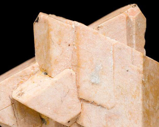 Mineral Hall. Courtesy of Royal Belgian Institute of Natural Sciences