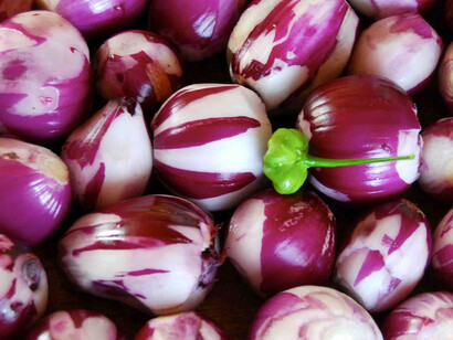 Calabria's onions