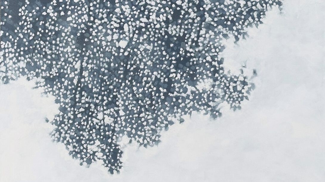 David Kidd, Distant view (detail). Courtesy of Anne Loucks Gallery 