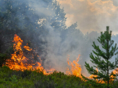 The human responsibility for climate change 