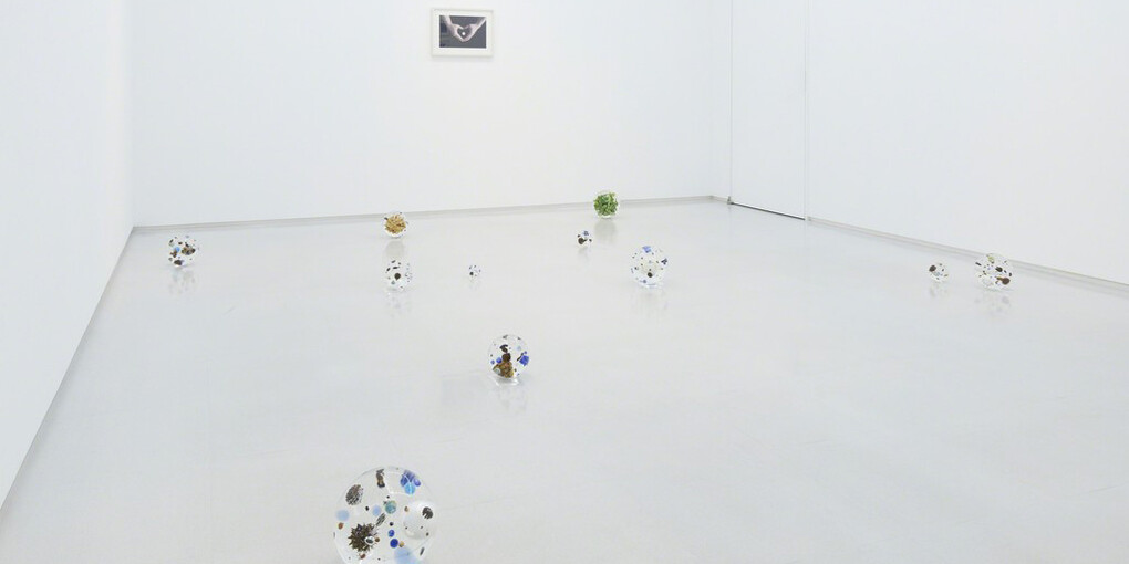 Satoshi Hirose, Exhibition view. Courtesy of Tomio Koyama Gallery
