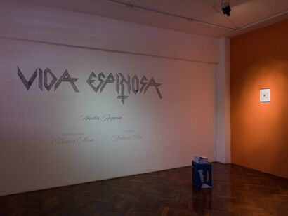 Nicolás Requena, Vida Espinosa, vista de exhibición. Cortesía de la Galería Moria