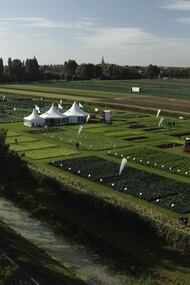 Il Centro d’Innovazione Tecnologica di Syngenta a Enkhuizen in Olanda