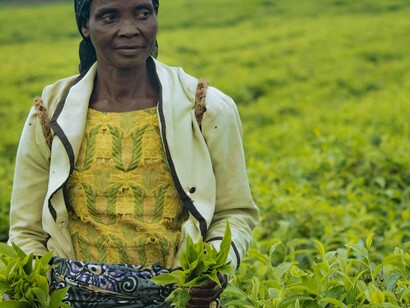 Agricultora. Com o objetivo de apresentar os estímulos essenciais e estruturais do meio rural moçambicano este artigo visa propor perspetivas de desenvolvimento rural com base em políticas públicas integradas e investimentos em tecnologia social. A partir de uma revisão crítica da literatura e dados secundários, busca-se oferecer sugestões práticas para superar as barreiras existentes e promover o crescimento sustentável do setor agrário