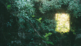 Fotografia de David Rodrigues. Vozes ouviam-se ao redor dela, naquele escuro cego