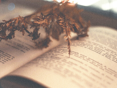 Pequeño ramillete sobre un libro de poesía