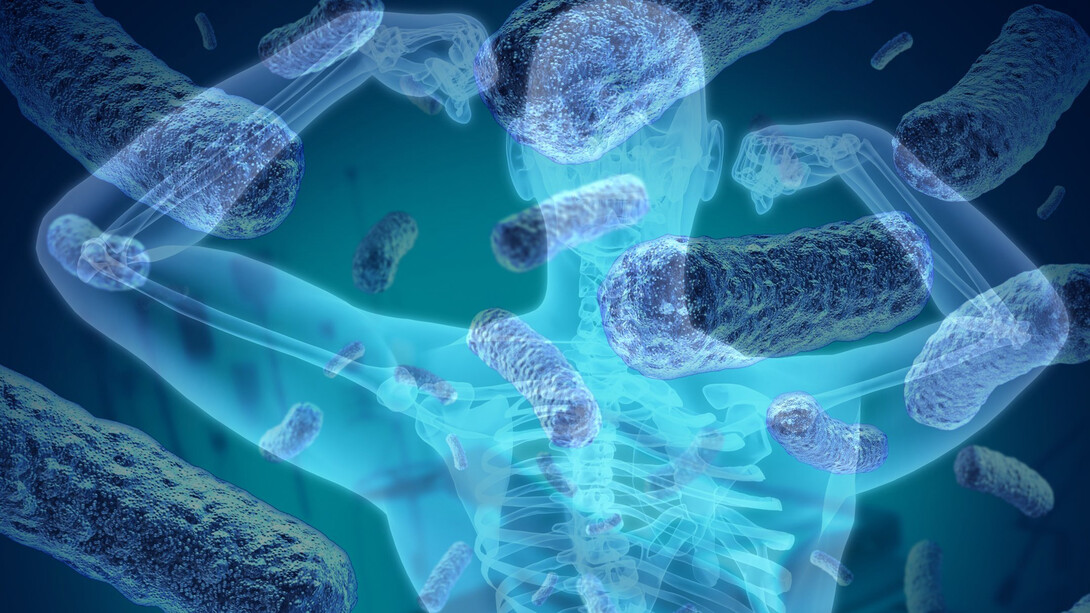 La flora batterica intestinale