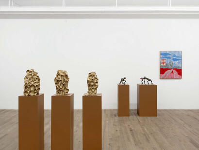 Diambe, honey honey honey, exhibition view. Courtesy of kaufmann repetto
