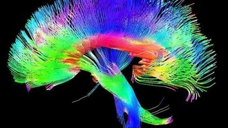 Main goal of the Giga Society is to further the establishment of mental ability test norms in the very high range