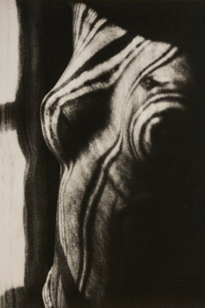 Man Ray. Retour a la raison, 1923 - 1976, cm 23,3 x 19. Riproduzione da negativo originale, 1976. Courtesy Archivio Storico della Biennale di Venezia - ASAC, Venezia © Man Ray Trust by SIAE 2019
