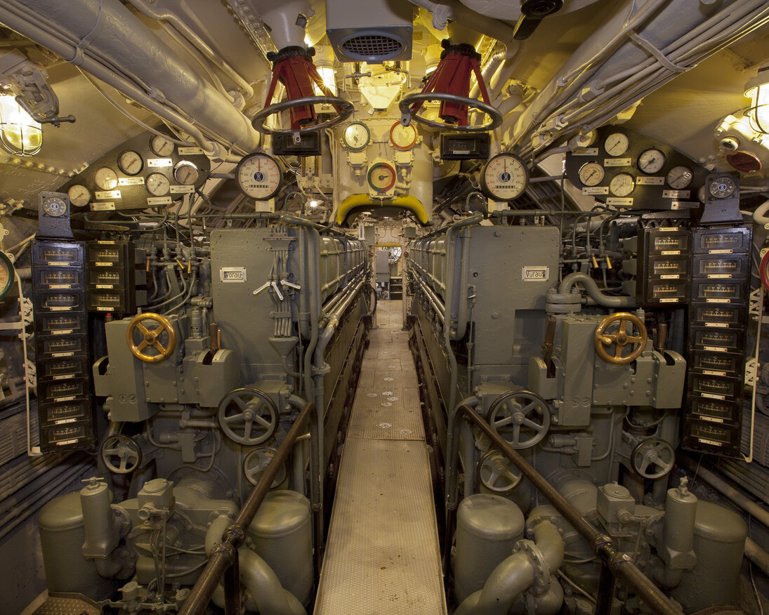 Elusive. Deadly.Captured. Courtesy of Museum of Science and Industry