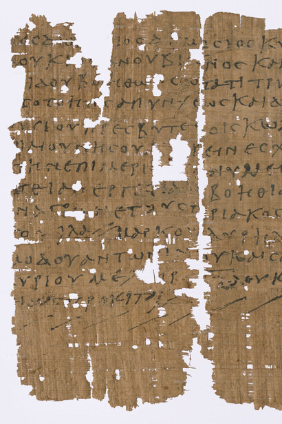 Utterly indispensable. The donkey in the ancient world, artwork in exhibition. Courtesy of Staatliche Museen