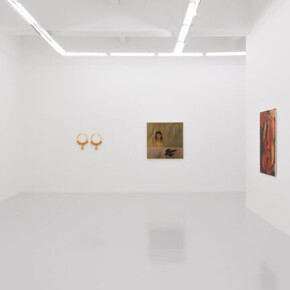 Various artists, their flesh, a field, exhibition view. Courtesy of Ames Yavuz
