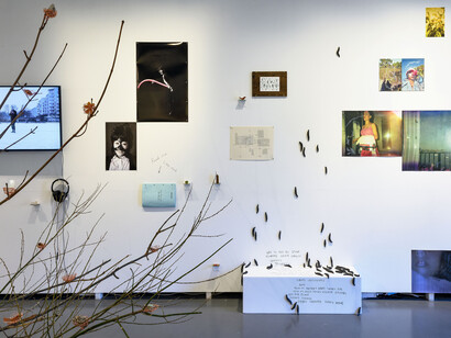 The institute of queer ecology, I wish we had more time, ausstellungsansicht. Mit freundlicher genehmigung des Kunst Haus Wien