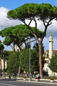 One of Rome's many beautiful plazas, Rome, Italy