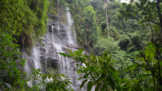 Chikamagalur, The Falls