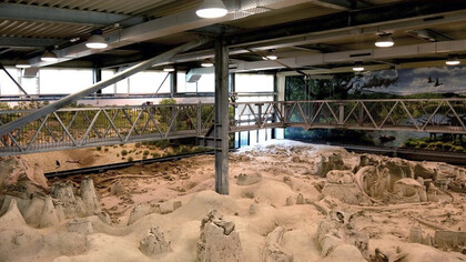 Polledrara di Cecanibbio, Museo Paleontologico