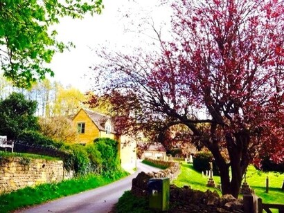 Cotswold, photo by Alma Reyes