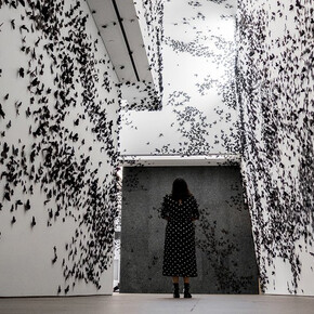 Carlos Amorales. Courtesy of Phoenix Art Museum