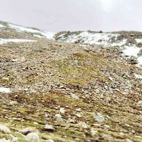 Sacred spaces. Courtesy of The Rubin Museum of Art