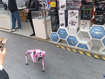 Robotic dog rental demonstration, Huaqiang North, Futian District, Shenzhen, February 2025, China