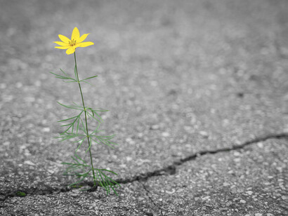 Campagna e progresso. L’uomo si stava già per voltare e per lasciar perdere. «Che ne so io delle strade, non so niente di strade, la campagna, la campagna, che ve ne fatte di questa roba incolta che non serve a niente?»