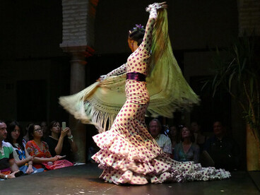 El arte debe fluir como el río, renovarse constantemente, asumiendo el riesgo del error, del fracaso y de la indiferencia… Flamenco, Sevilla, España