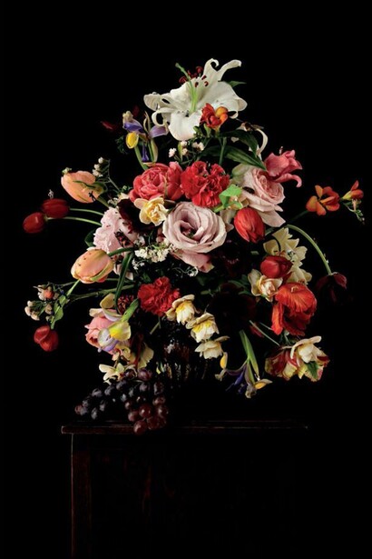 Rebecca Louise Law, Ambrosius Bosschaert the Elder 2014