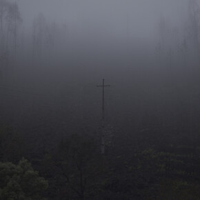 João Pedro Almeida. Cortesia da Narrativa