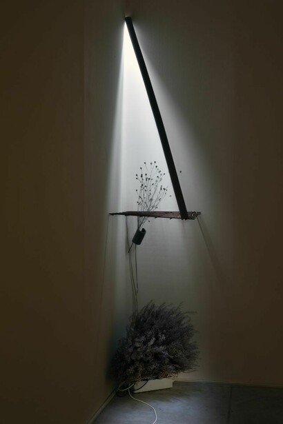 Nika Erjavec, (Un)objectivity, exhibition view. Courtesy of MG+MSUM