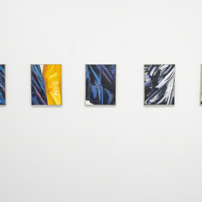 Browsing History. Courtesy of Michel Rein