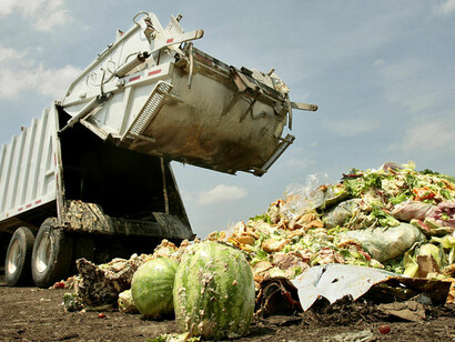 Food Waste