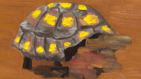 Daqui a Pouco. Courtesy Baró Galeria